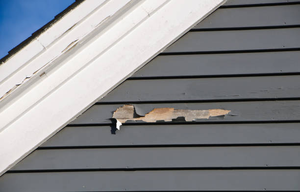 Best Siding Painting and Refinishing  in Fairfax, MN