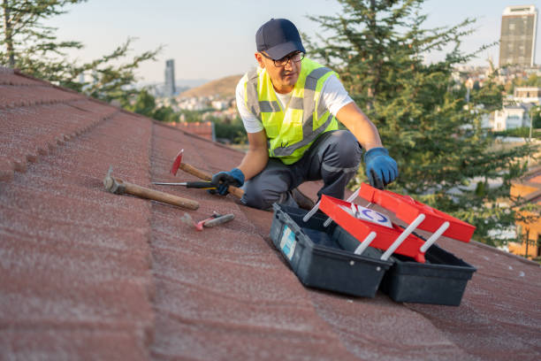 Best Historical Building Siding Restoration  in Fairfax, MN